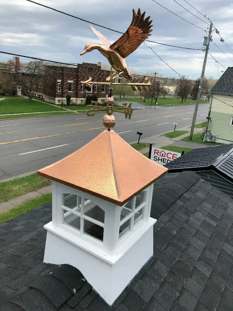 A bird flying over the top of a building.
