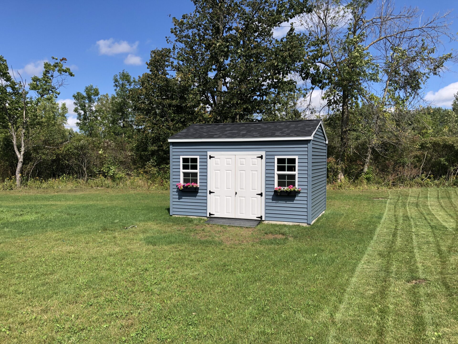 A blue shed with two windows and a white door.